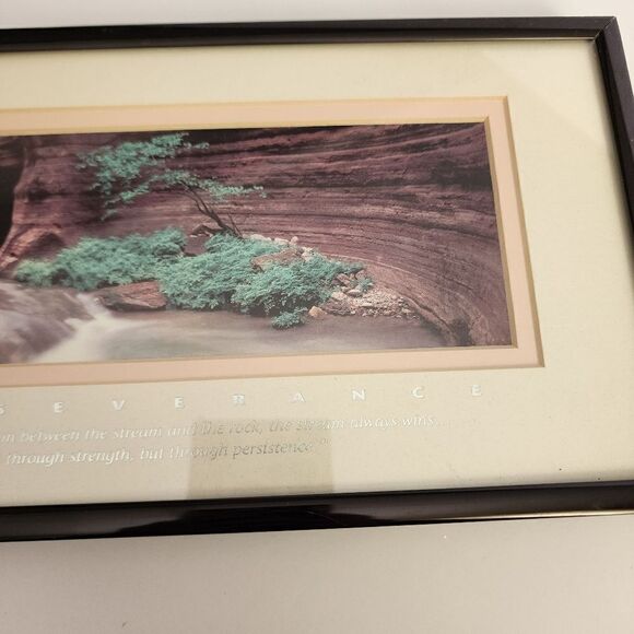 Successories Perseverance Lifescspes Lithograph Of Grand Canyon National Park - Picture 7 of 10